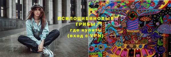 ПСИЛОЦИБИНОВЫЕ ГРИБЫ Баксан