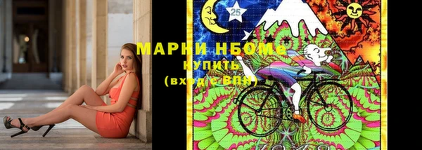 гидра Ахтубинск