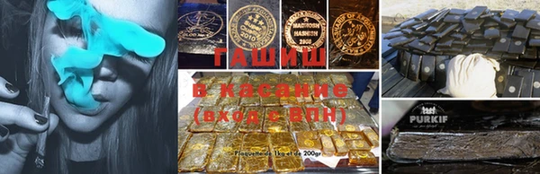 гидра Ахтубинск