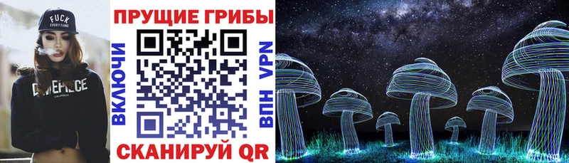 Псилоцибиновые грибы Cubensis  Тетюши 